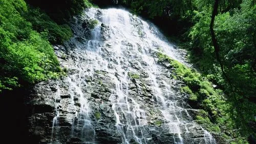 高质量高效先进